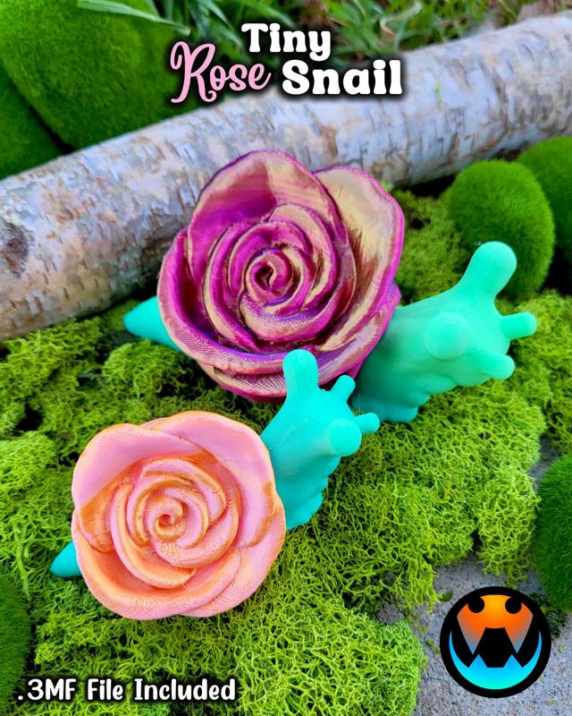 Tiny Rose Snail