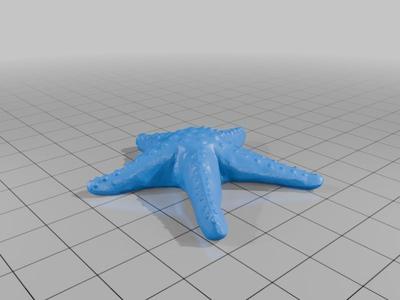 Bathroom pull cord ends