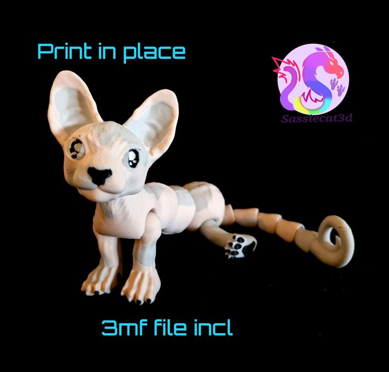 Sphynx Cat *Personal Use*