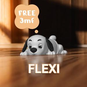 Flexi Puppy