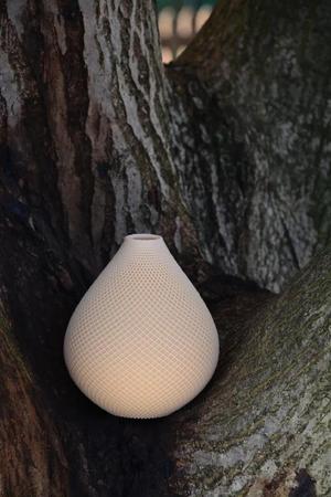 Gardenia | Modern Vase   