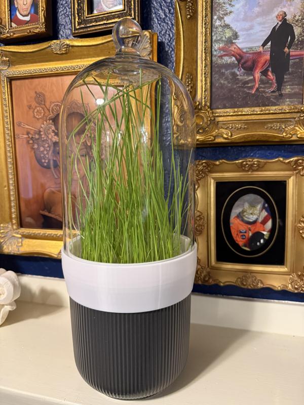 Mini greenhouse using Ikea Morgontidig bell cloche to Gradvis flower pot adapter