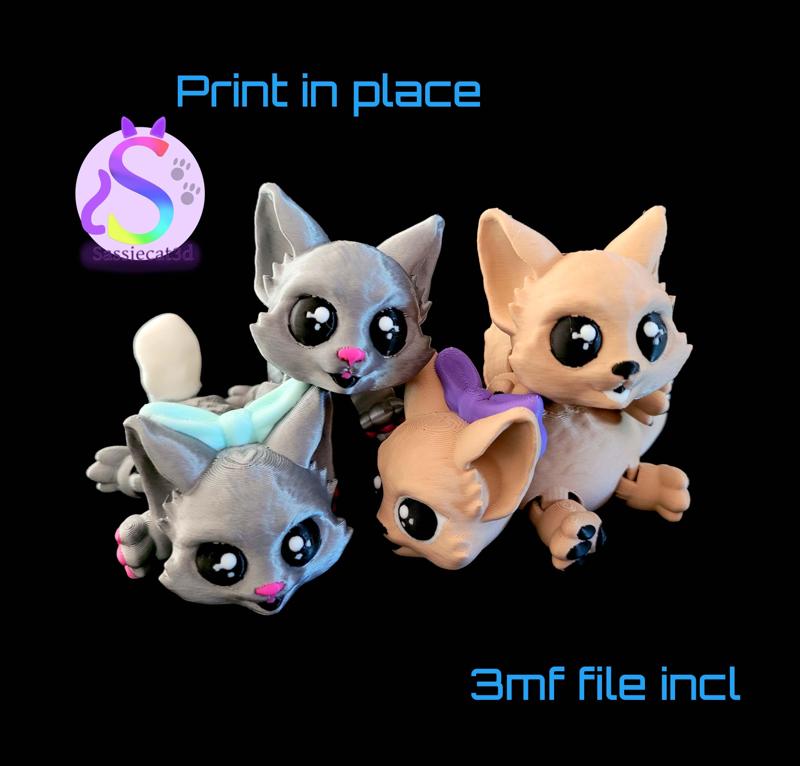 Kaiden the kitten *Commercial Version*