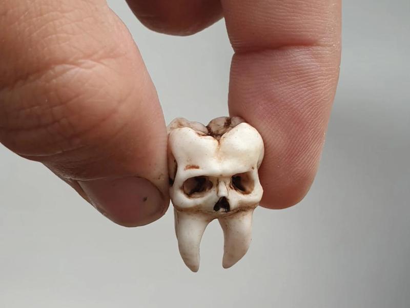 Realistic Tooth Keychain – 3D Printable Cute Molar