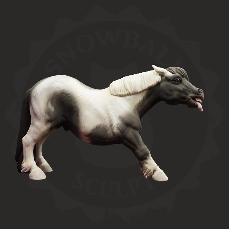 Shetland Pony Stallion