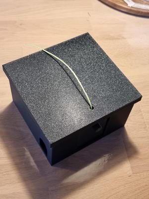 Pet safe mousetrap house