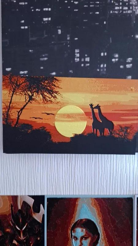 giraffes in sunset   