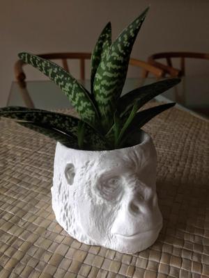 Vase - Ape Head