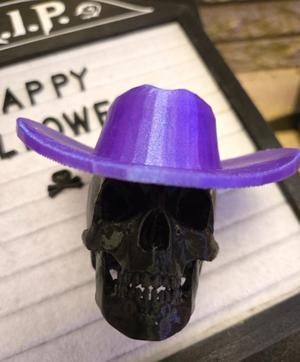 Cowboy Skull