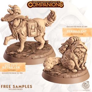 Companions Welcome Set (FREE)