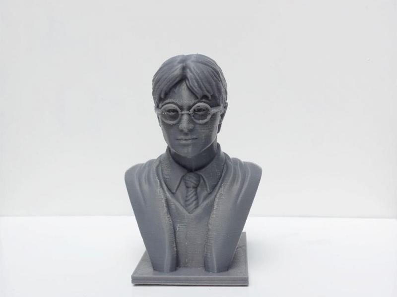Harry Potter Bust