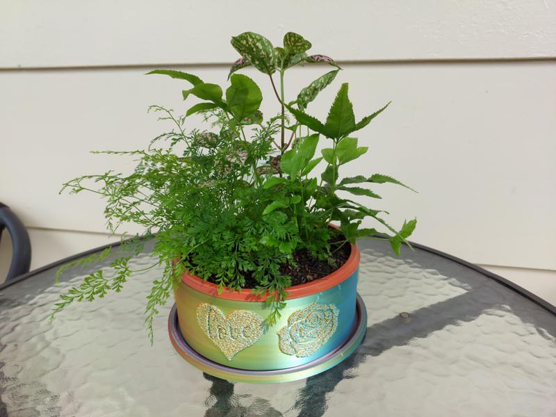 Valentine's Heart & Rose Planter Set