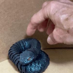 The ultimate fidget snake  (with bonus model!)