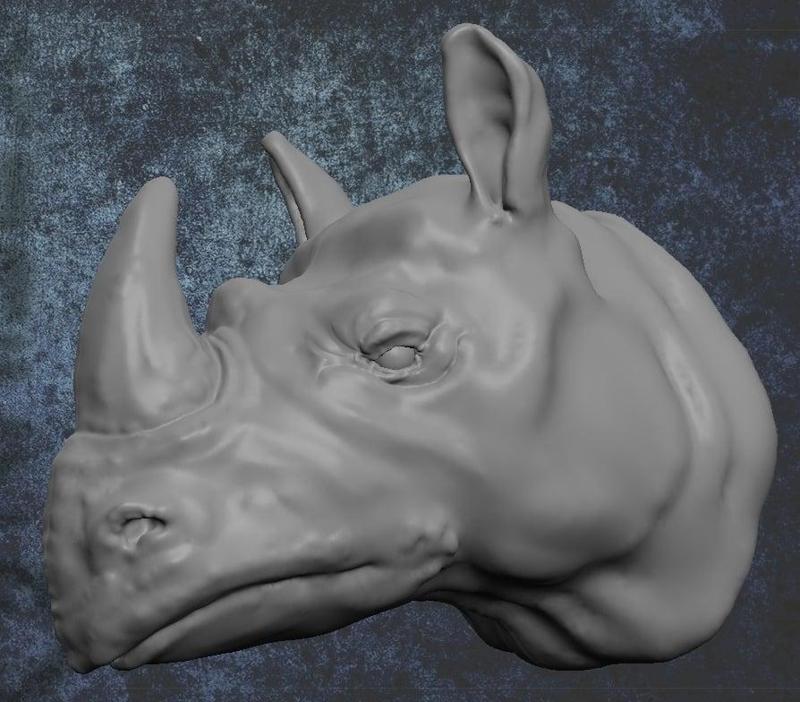 Rhino Head
