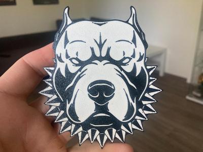 Pitbull with collar