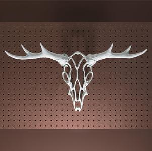 Wire Skull // Deer