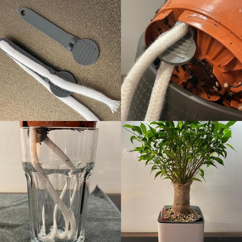 Self watering Plant stick stake / Vacation Plant Flower Saver