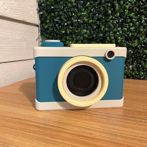 Vintage Camera Box