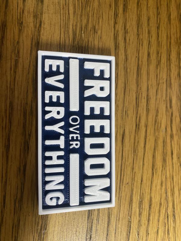 Freedom Over Everything Magnet
