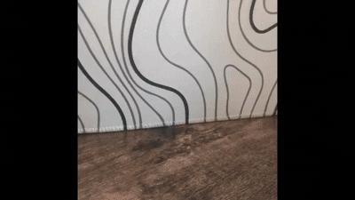 transforming tank toy