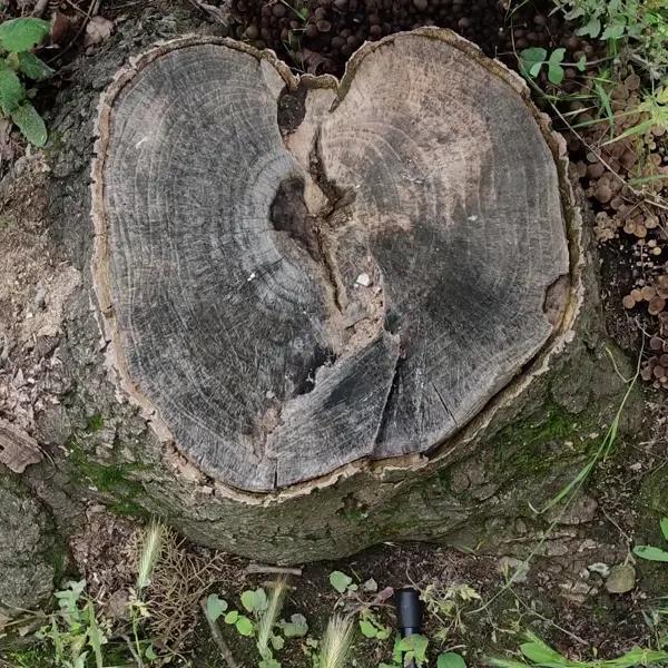 A 4-pack of zipties for your wallet - PLA friendly!