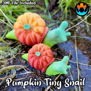 Tiny Pumpkin Snail