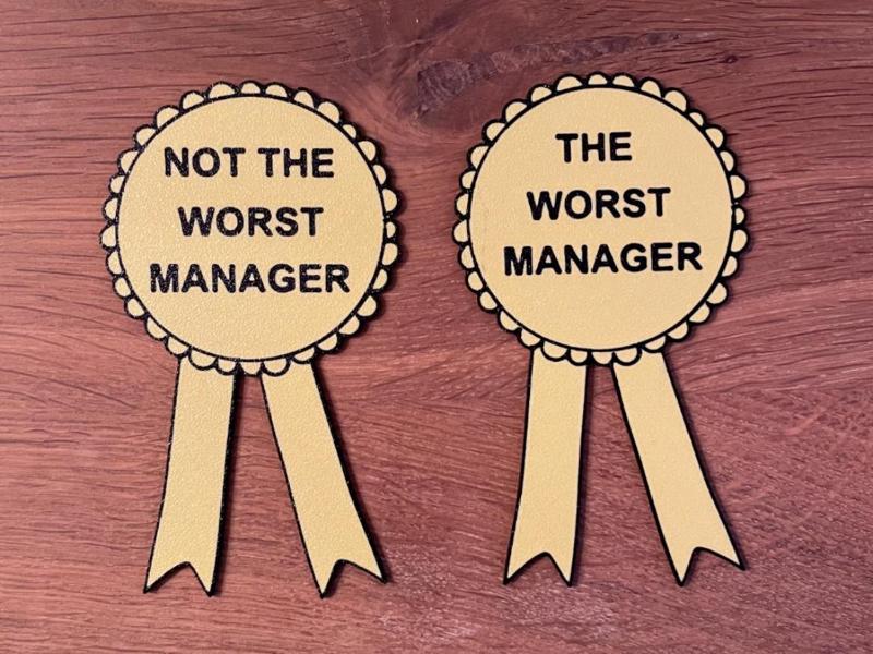 Worst Manager Award / Funny / joke gift / work