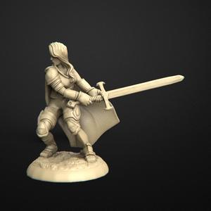 Woman Paladin