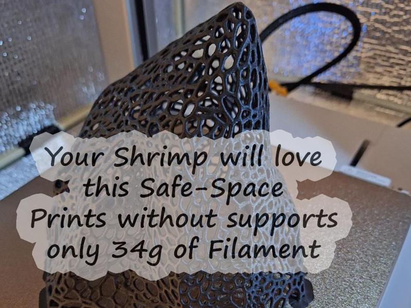 Shrimp Rock, a safe-space for your Shrimp