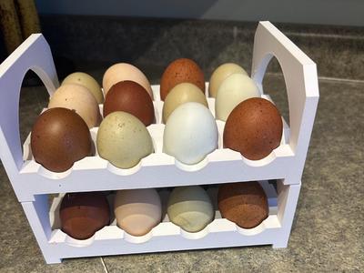 12 EGG STACKABLE STORAGE EGG TRAY RACK 