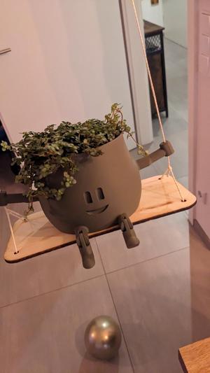 Happy Plant Swing - Fröhlicher Pflanzenschaukler