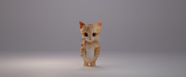 El Gato - Cat meme