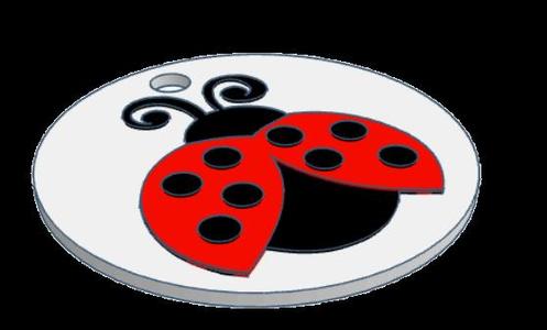 identification medal for students (ladybird)