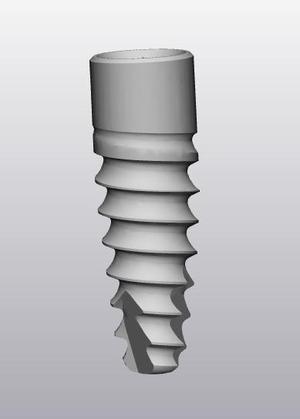 implant model for printing