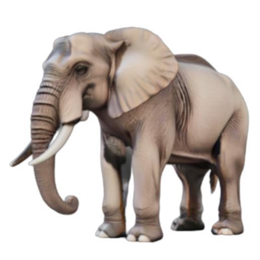 Detailed Elephant