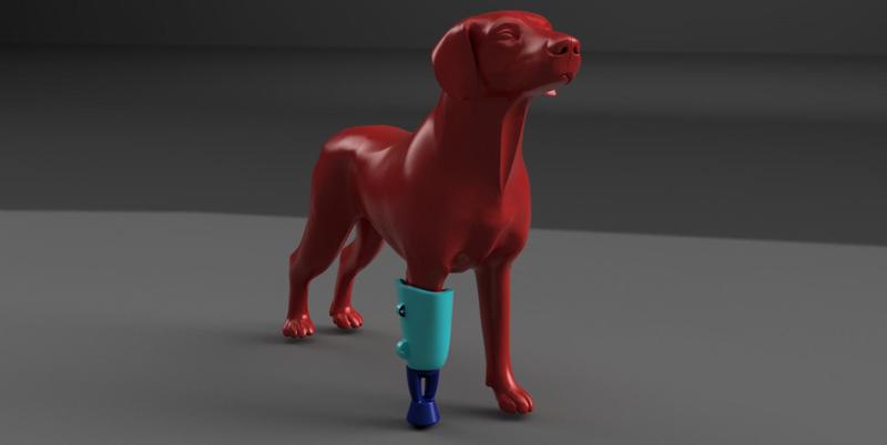Front Leg Prosthesis for Dogs: 3D Mobility🐶✨