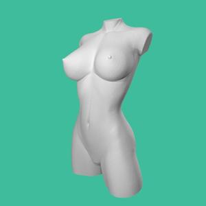 Woman torso nude