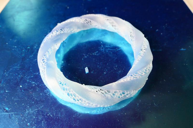 Twisted Torus Bracelet