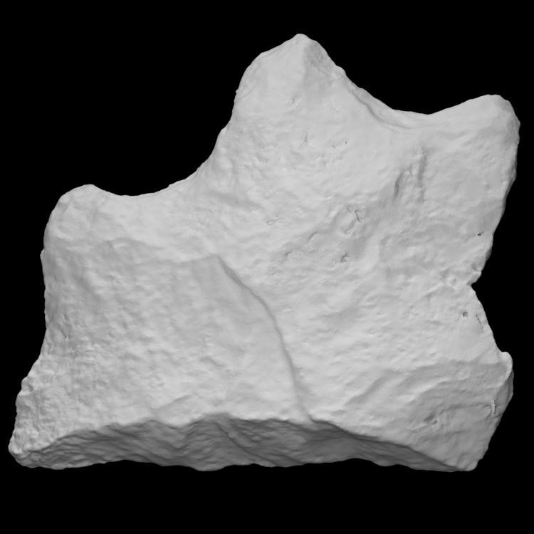 Stanly Stemmed Point