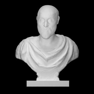 Portrait of Alessandro Vittoria