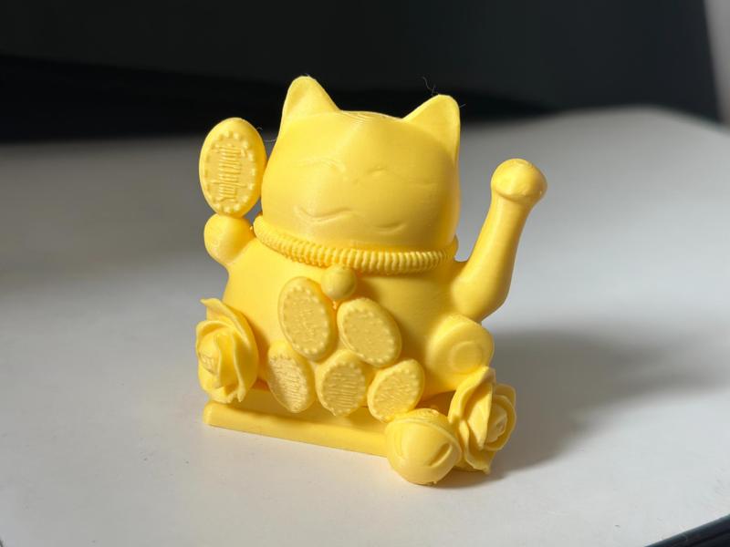 Maneki-neko Lucky Gold Coin Full Body