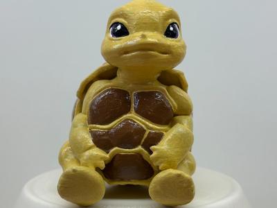 Baby Turtle