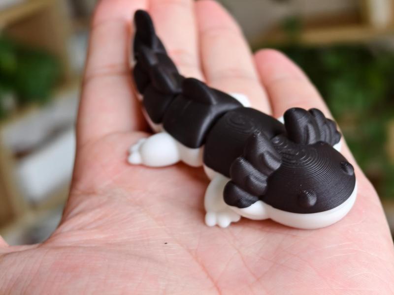 Hex Dragon, Newt, Ornament Fridge Magnets