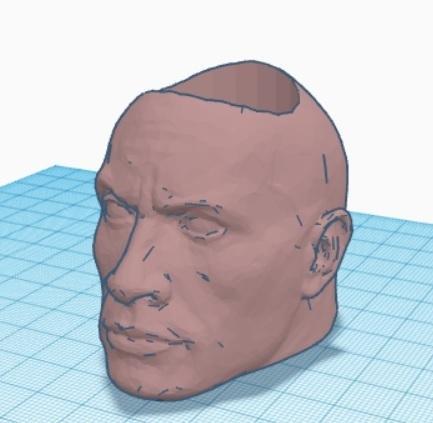 rock planter