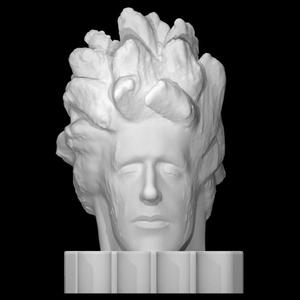 Grindberg's Portrait