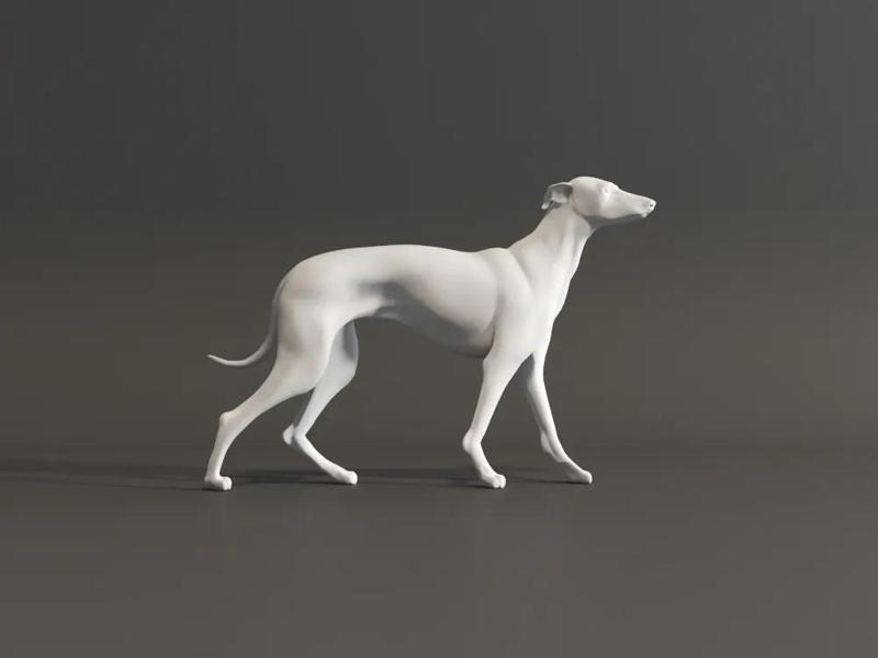 Slender Dog - Heavenly Hound