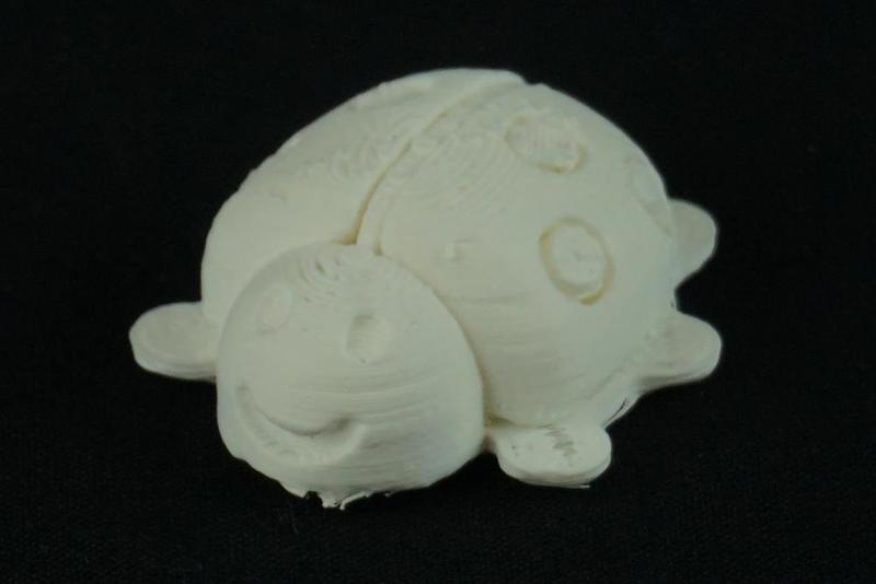 Ladybug -  Marienkäfer