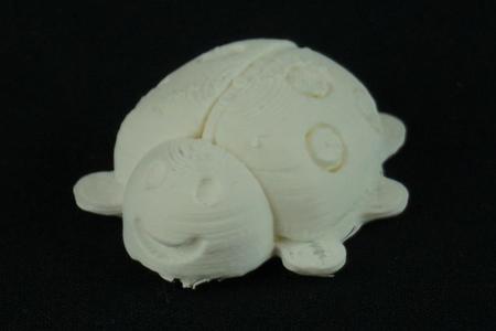 Ladybug -  Marienkäfer