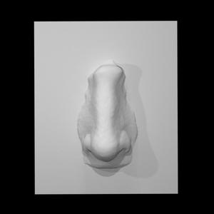 London Nose from Meard Street