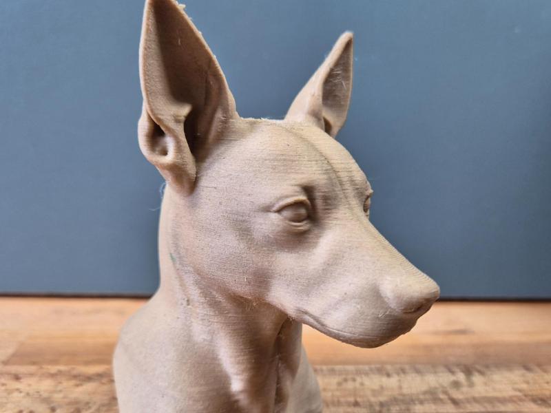 Rat Terrier Bust